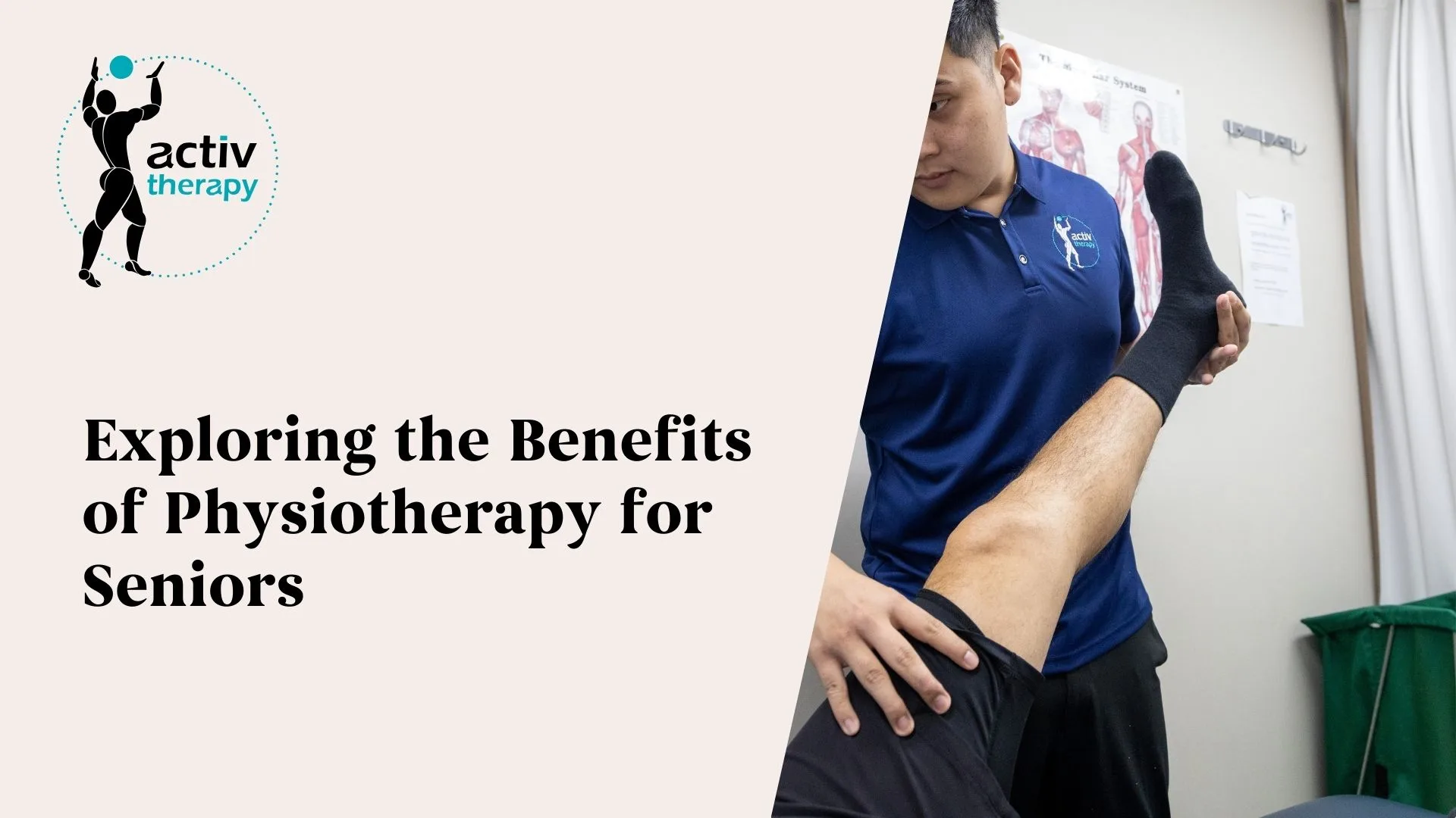 Exploring the Benefits of Physiotherapy for Seniors